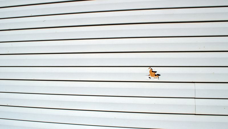 Vinyl Siding Repair - Image 5