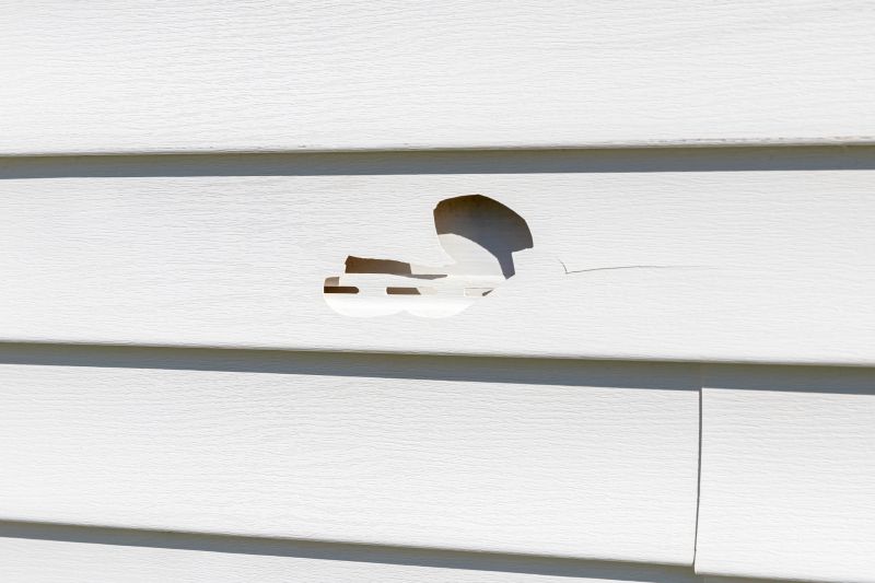 Vinyl Siding Repair Installation - Image 2